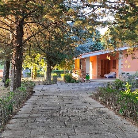 Nature, Memories And Garden Shower At Casa Del Castello Castel Del Monte  Buitenkant foto