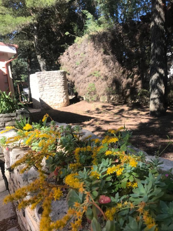 Nature, Memories And Garden Shower At Casa Del Castello Castel Del Monte  Buitenkant foto