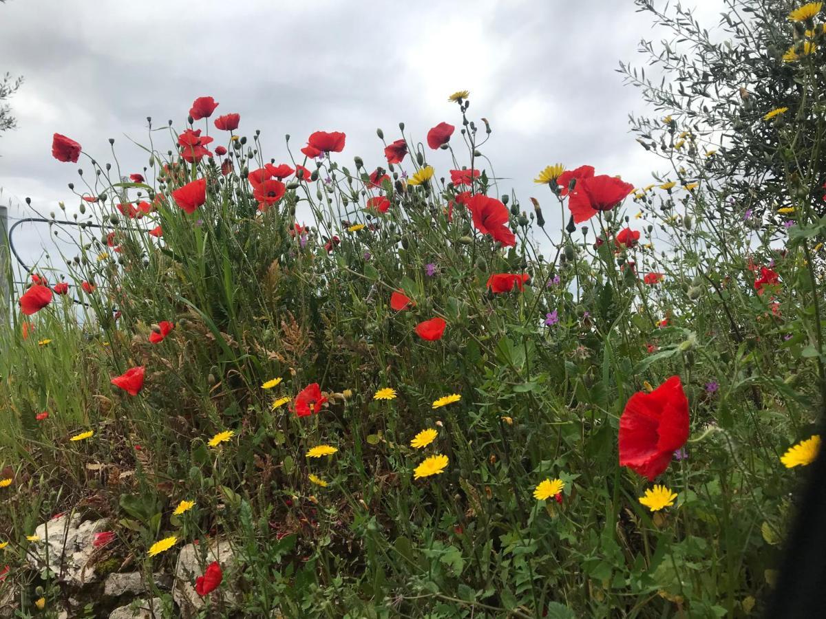Nature, Memories And Garden Shower At Casa Del Castello Castel Del Monte  Buitenkant foto